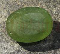 No Image Found